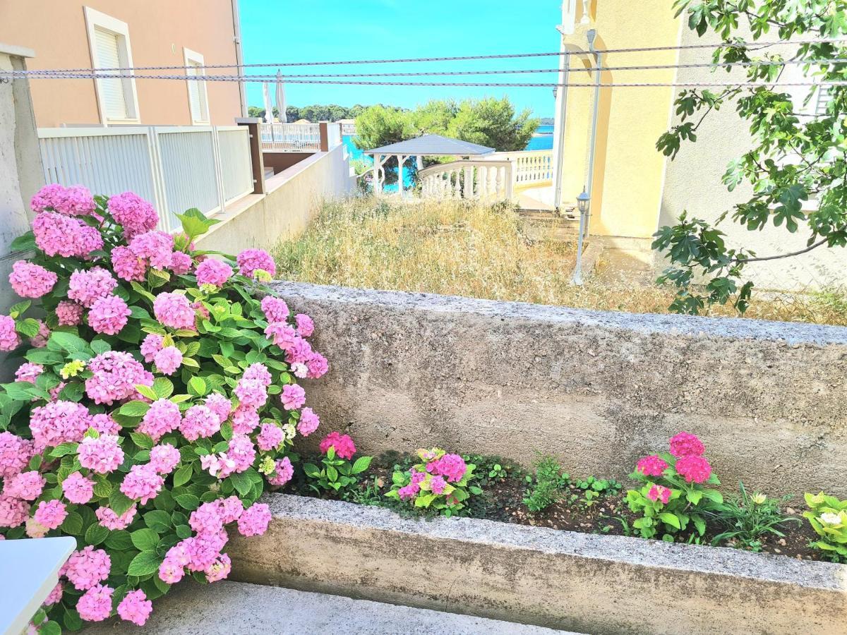 Apartment Ivana Brodarica (Sibenik-Knin) Exterior foto