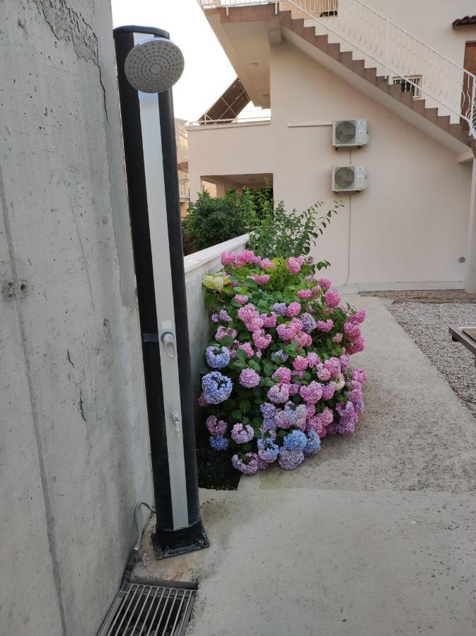 Apartment Ivana Brodarica (Sibenik-Knin) Exterior foto