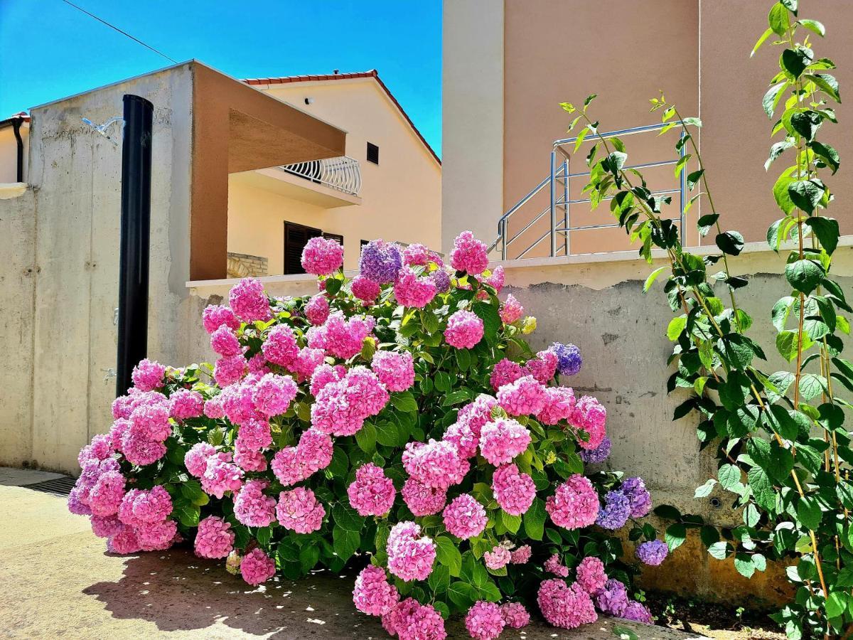 Apartment Ivana Brodarica (Sibenik-Knin) Exterior foto